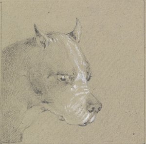 Hoofd en schouders van een bokserhond door Henry Thomas Alken