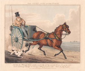  door Henry Thomas Alken