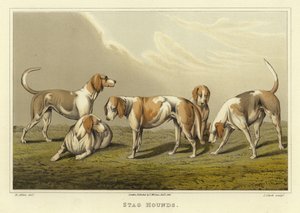 Jachthonden (chromolitho) door Henry Thomas Alken