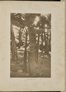 Metgezellen door Henry W. Cave