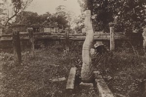 Verwoeste steden van Ceylon: Curieuze afgeronde kolom en ruïnes