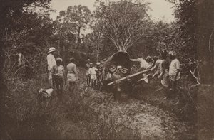 Verwoeste steden van Ceylon: Op weg naar Polonnaruwa door Henry W. Cave