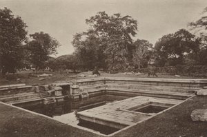 Verwoeste Steden van Ceylon: Pokuna