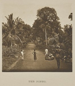 De Pingo door Henry W. Cave
