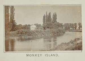 Apeneiland
