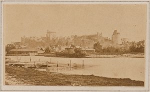 Windsor van de Brocas
