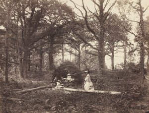 Landschap, 1856 door Henry White