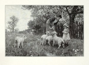 In de kwekerij