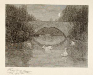 Avond, Zwanenmeer, Central Park, New York door Henry Wolf