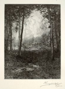 In de Adirondacks door Henry Wolf
