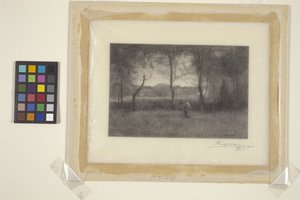 Landschap
