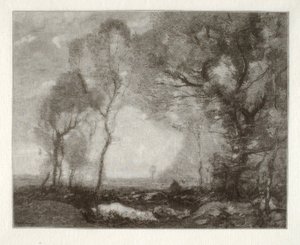 Landschap door Henry Wolf