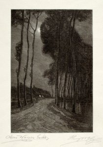 Moonlight in Holland door Henry Wolf