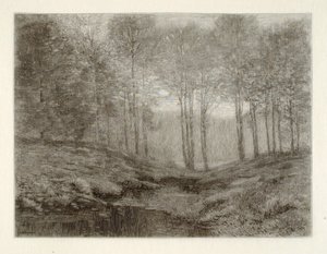 Zomerochtend door Henry Wolf