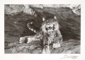 Tijger door Henry Wolf