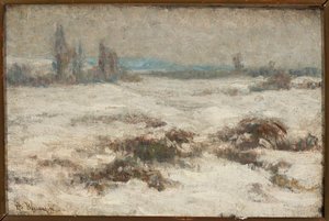 Winterlandschap