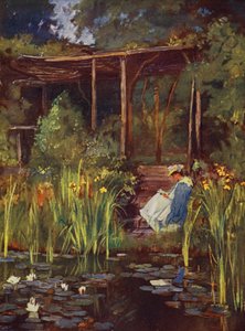 Een water tuin