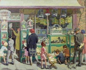 De Dierenwinkel