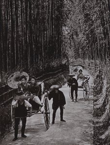 Een bamboe laan in Kyoto (zw/w foto) door Herbert Ponting