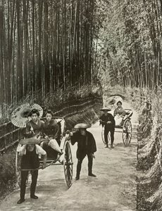 Een Bamboe Avenue in Kyoto, 1910 door Herbert Ponting