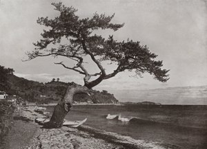 Atami (zw/w foto) door Herbert Ponting