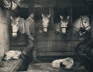 Kapitein Oates, op de Terra Nova met de Siberische pony