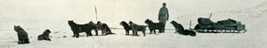 Honden met Voorraad die Hutpunt Verlaten, ca. 1911, 1913