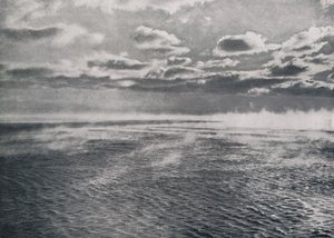 Vorst-Rook door Herbert Ponting