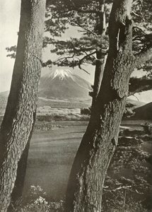 Fuji door de dennen van het Motosu-meer, 1910 door Herbert Ponting