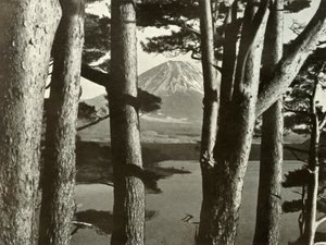 Fuji en de Pijnbomen, 1910 door Herbert Ponting