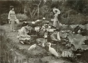 In Lotus-Land, 1910 door Herbert Ponting