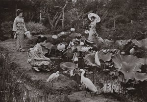 In een lotustuin (zwart-wit foto) door Herbert Ponting