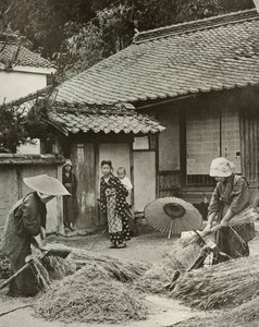 Boerinnen die Gerst Oogsten, 1910 door Herbert Ponting