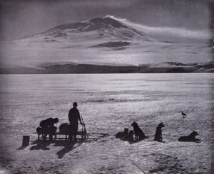 Slede en honden, met Mount Erebus op de achtergrond door Herbert Ponting