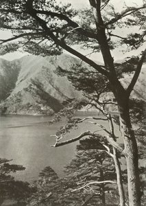 Het Hotel Aan Het Meer, Shoji, 1910
