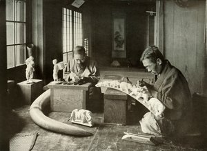 De ivoorsnijders, 1910 door Herbert Ponting