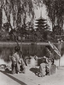 De Kobukuji-pagode (zw/w foto)