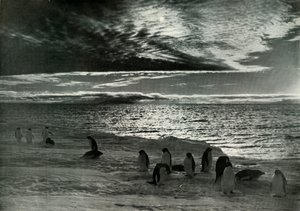 De Middernachtzon in McMurdo Sound, c1910-1913