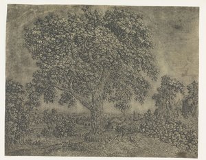 De Grote Boom
