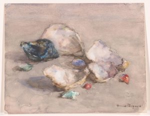 Schelpen op het strand door Herman Bogman (signed by artist)
