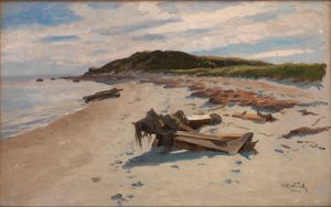 Cape Cod, Strand