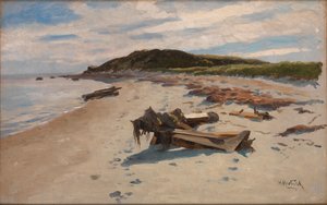Cape Cod, Strand, 1894