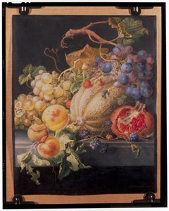 Fruit stilleven