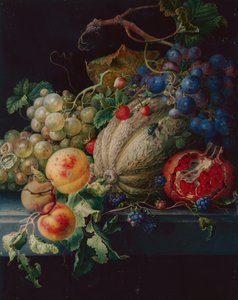 Fruit stilleven op een stenen richel