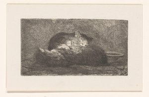 Twee katten
