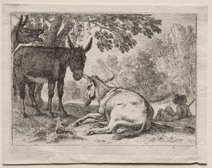Dieren in landschappen: ezels