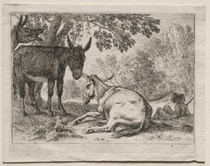 Ezels door Herman van Swanevelt