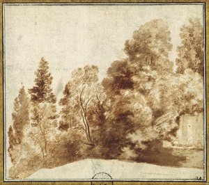 Groep bomen bij een muur