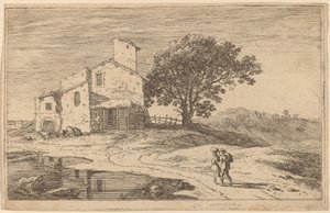 Grote Boom bij een Huis