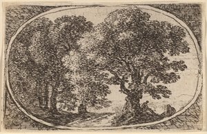 Pad tussen Bomen